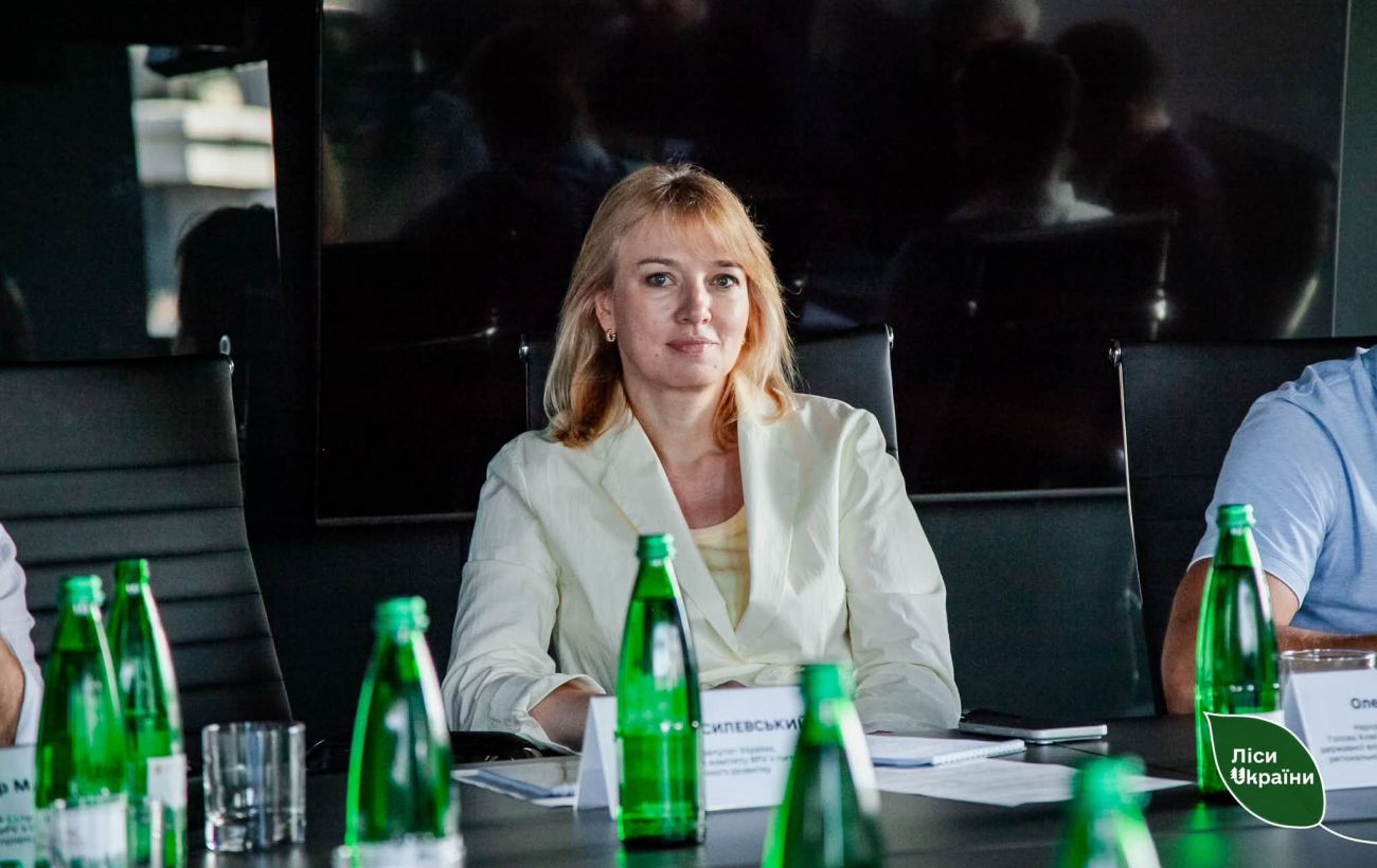 Зображення новини: У Раді заявили про затягування рішення щодо "українського поясу безпеки"